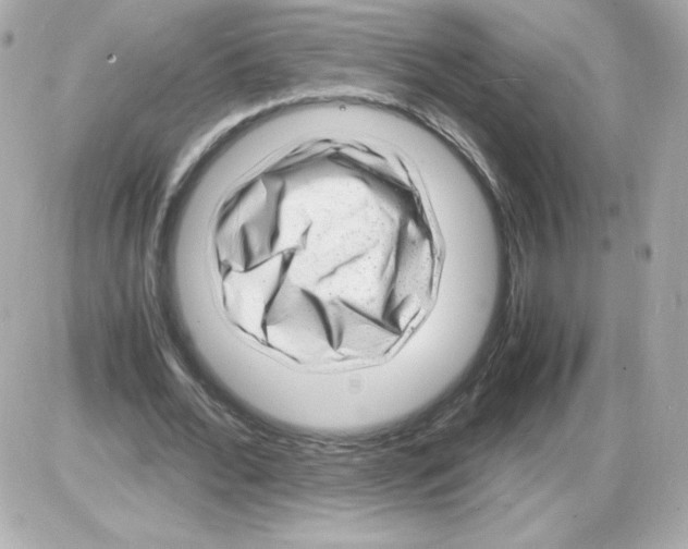 X0000085290676200704092233