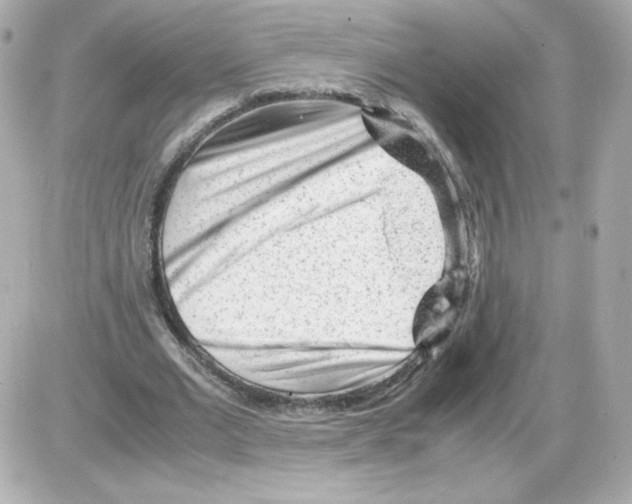 X0000085290677200704092233