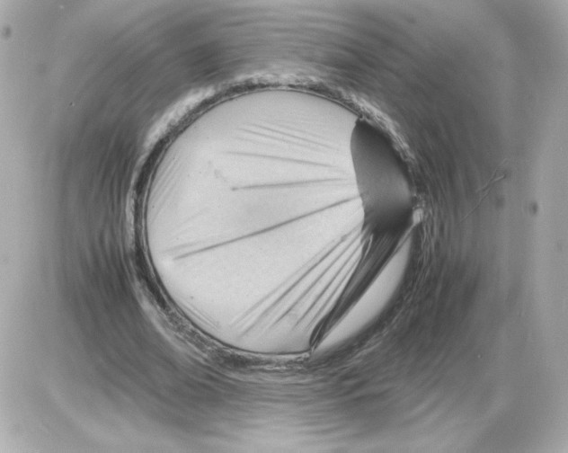 X0000085290678200704092233