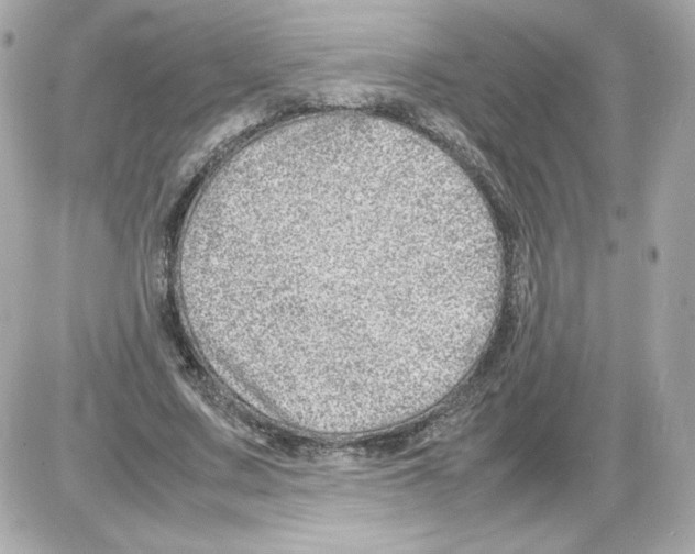 X0000085290683200704092233