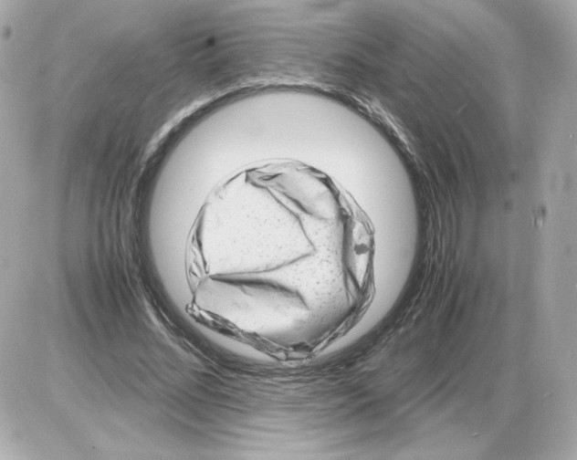 X0000085290684200704092233