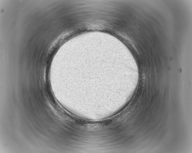 X0000085290686200704092232