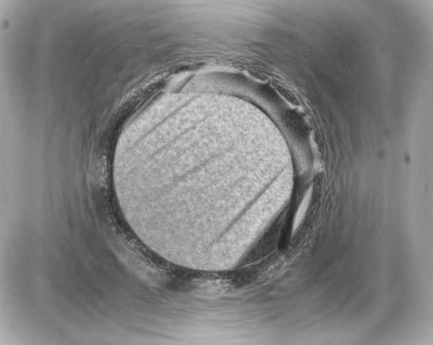 X0000085290689200704092232