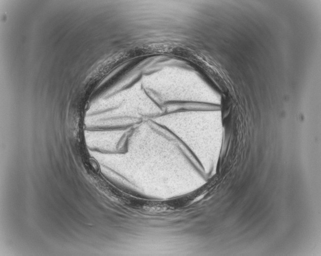 X0000085290693200704092232