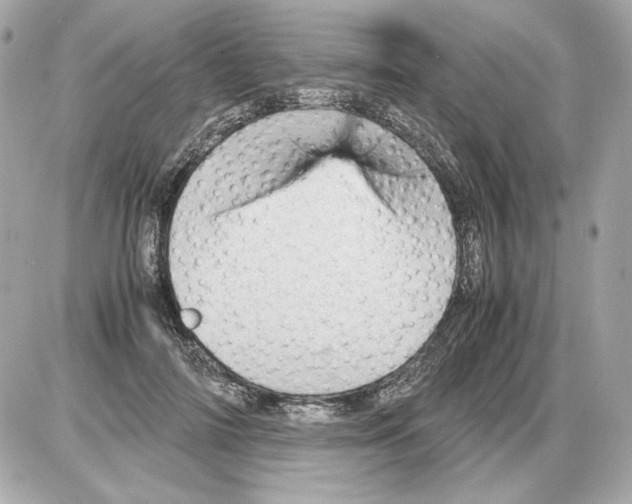 X0000085290698200704092232