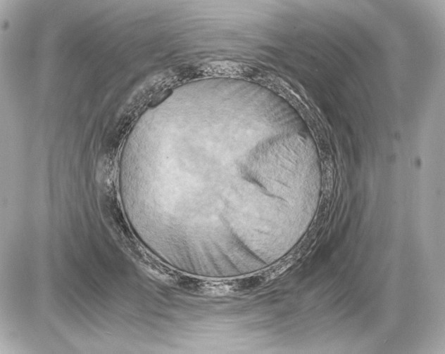 X0000085290701200704092232