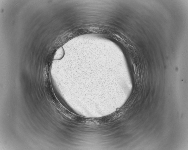 X0000085290702200704092232