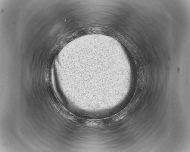 X0000085290706200704092232