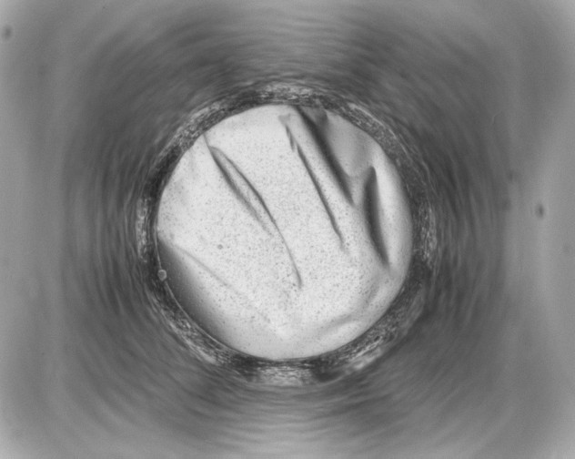 X0000085290708200704092232
