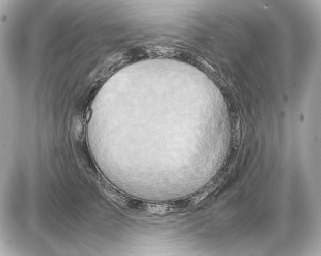 X0000085290709200704092232