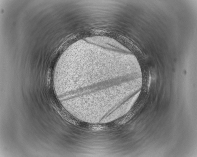 X0000085290710200704092232