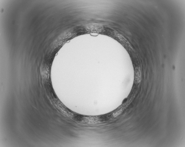 X0000085290713200704092232