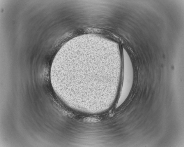 X0000085290714200704092232