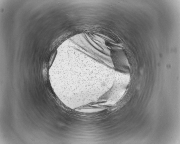 X0000085290720200704092232