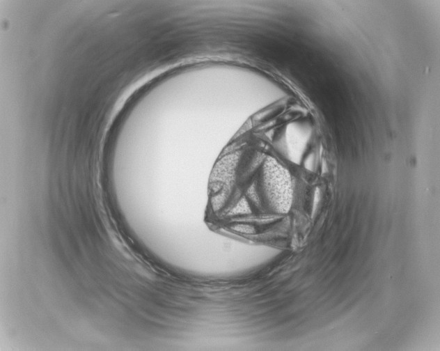 X0000085290724200704092231