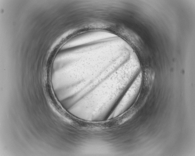 X0000085290726200704092231