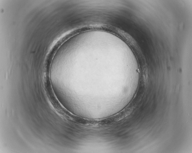 X0000085290728200704092231