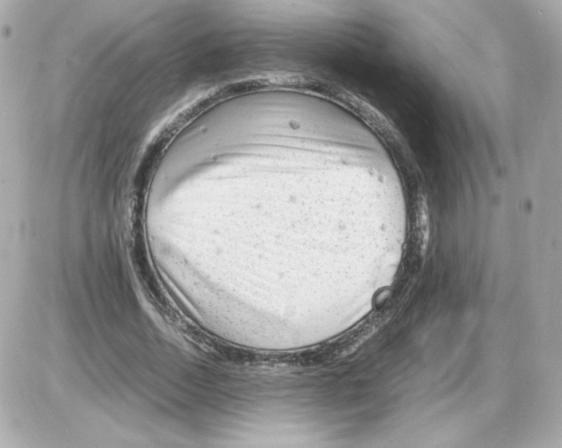 X0000085290730200704092231