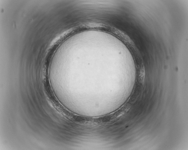 X0000085290732200704092231