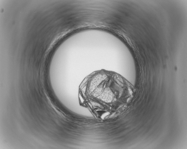 X0000085290736200704092231