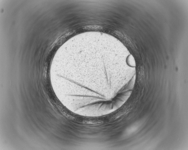 X0000085290739200704092231