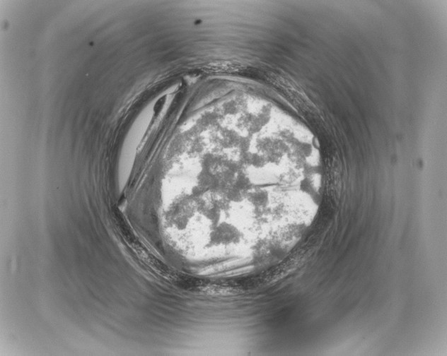X0000085290742200704092231