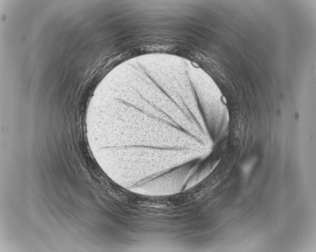 X0000085290743200704092231