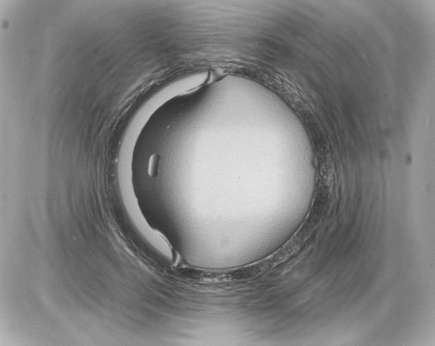 X0000085290744200704092231
