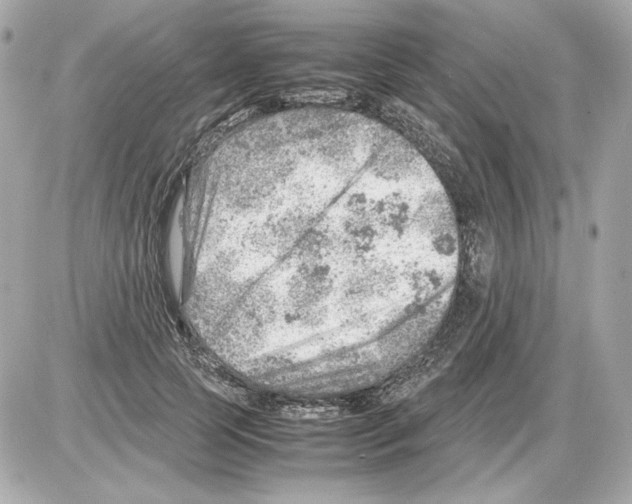 X0000085290745200704092231