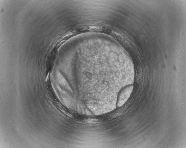 X0000085290748200704092232