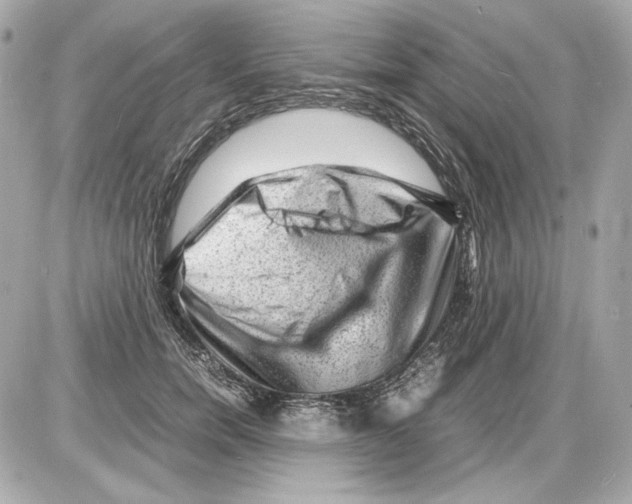 X0000085290750200704092232