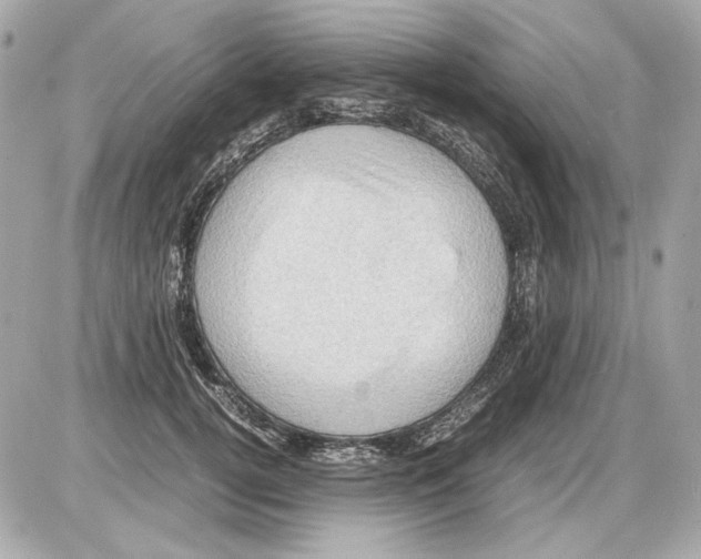 X0000085290752200704092232