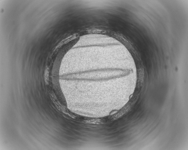 X0000085290761200704092232