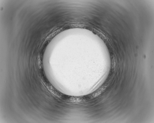 X0000085290764200704092232