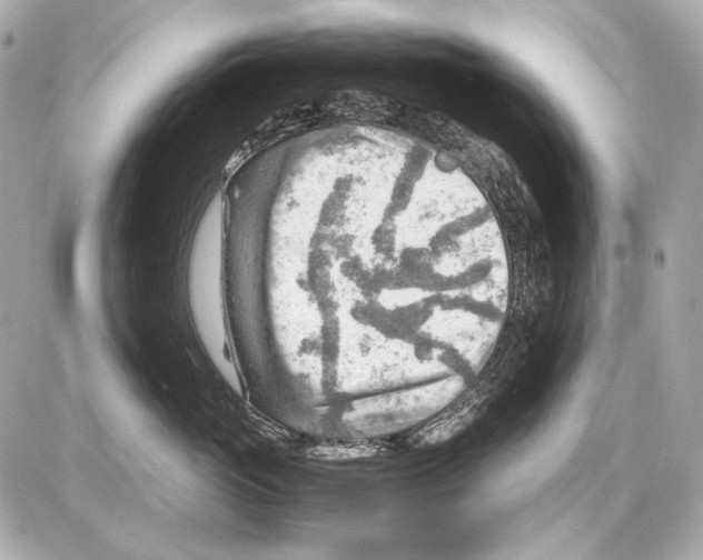 X0000085290765200704092232