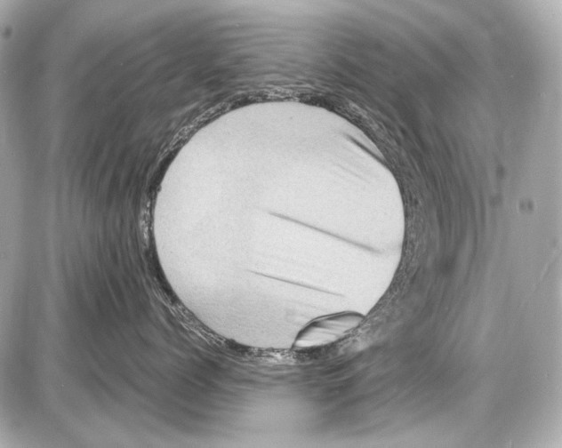 X0000085290768200704092232