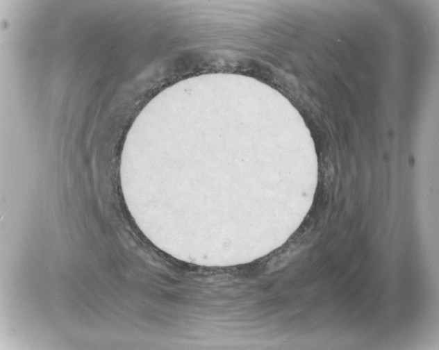 X0000085290769200704092231