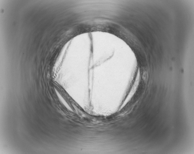 X0000085290771200704092231