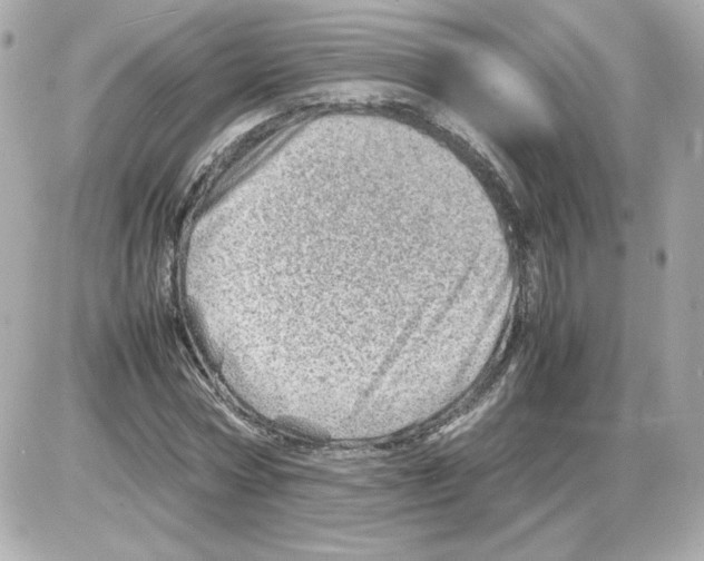 X0000085290778200704092231