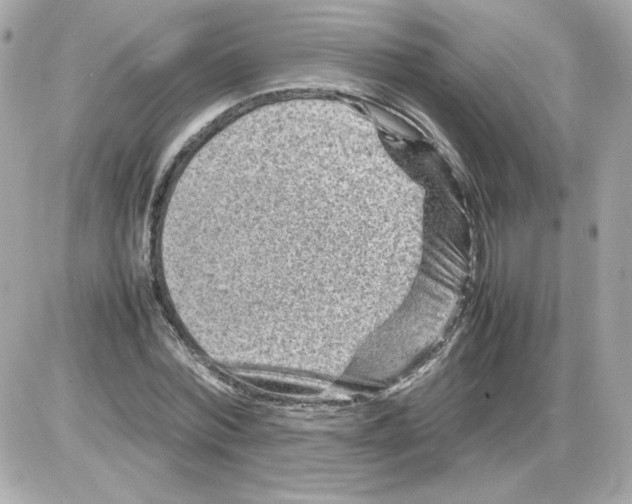X0000085290780200704092231
