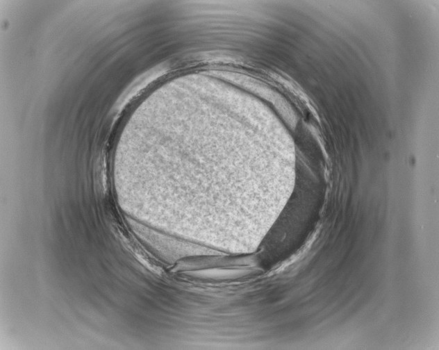 X0000085290782200704092231
