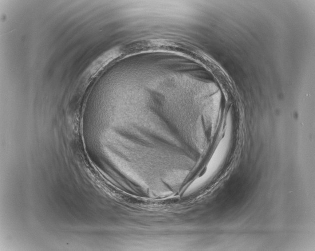 X0000085290785200704092231