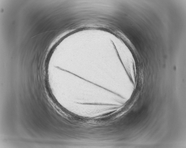 X0000085290787200704092231