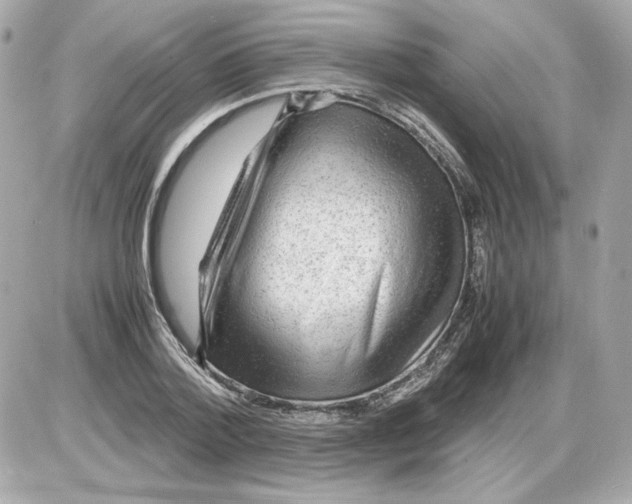 X0000085290788200704092231