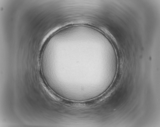 X0000085290789200704092231