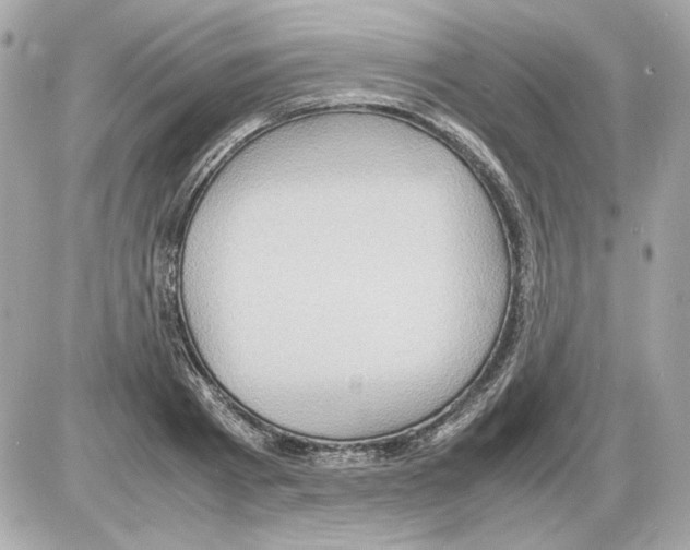 X0000085290793200704092231