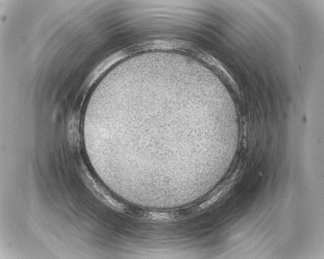 X0000085290794200704092231