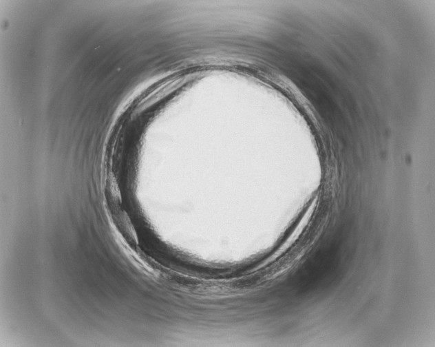 X0000085290795200704092231