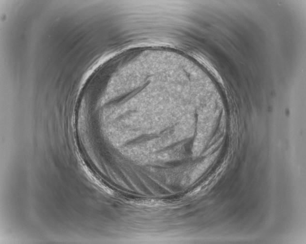 X0000085290797200704092231