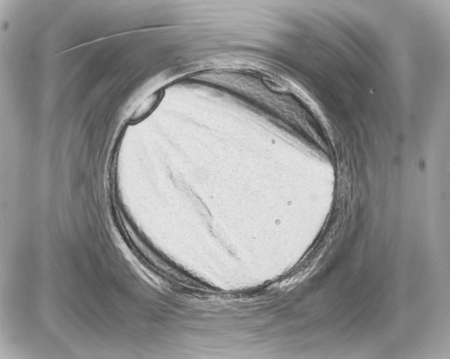 X0000085290803200704092231